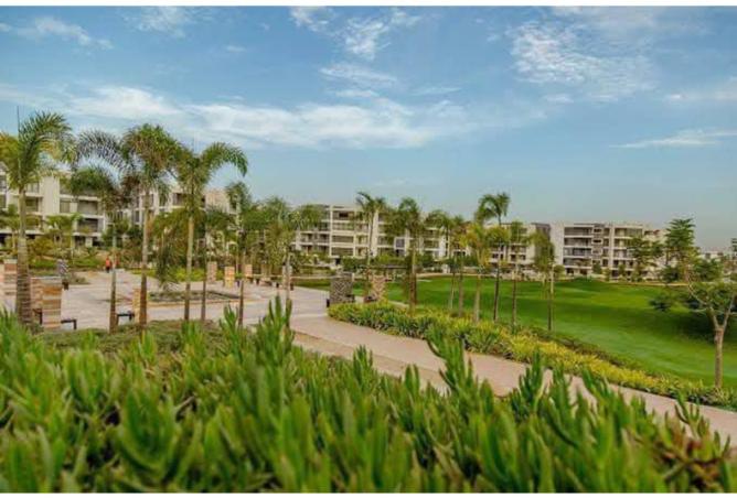 8524032 - Property Image 3