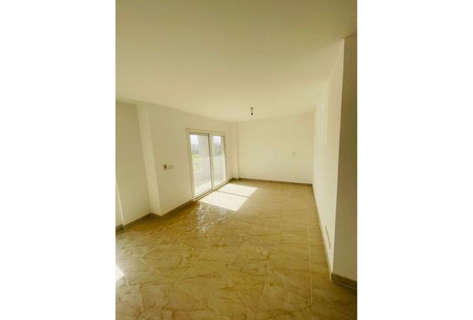 7881029 - Property Image 3