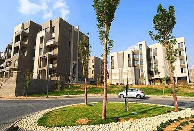 8451369 - Property Image 2