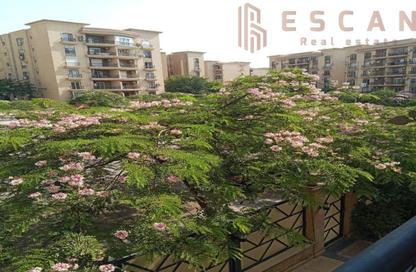 Apartment - 2 Bedrooms - 2 Bathrooms for rent in El Rehab Extension - Al Rehab - New Cairo City - Cairo