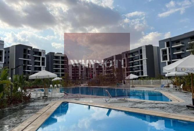 7888652 - Property Image 3