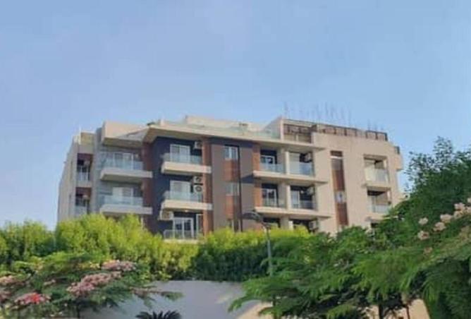 8177745 - Property Image 3