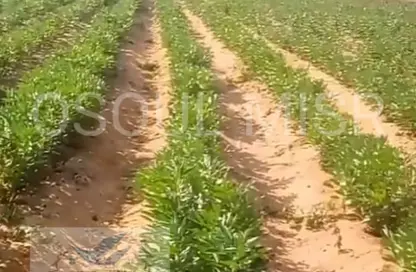 Land - Studio for sale in Cairo Alexandria Desert Road - Giza