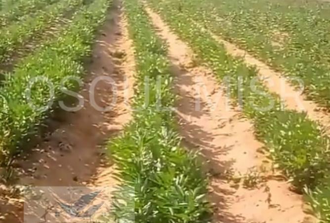 8282925 - Property Main Image