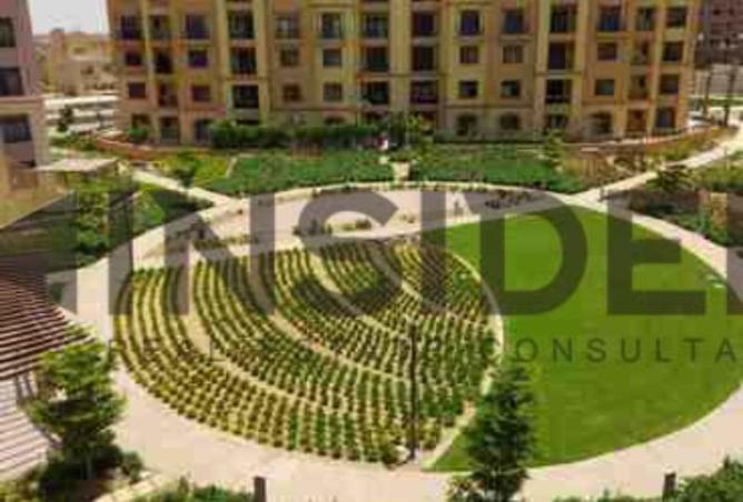 8489554 - Property Image 2