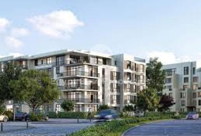 8431133 - Property Image 3