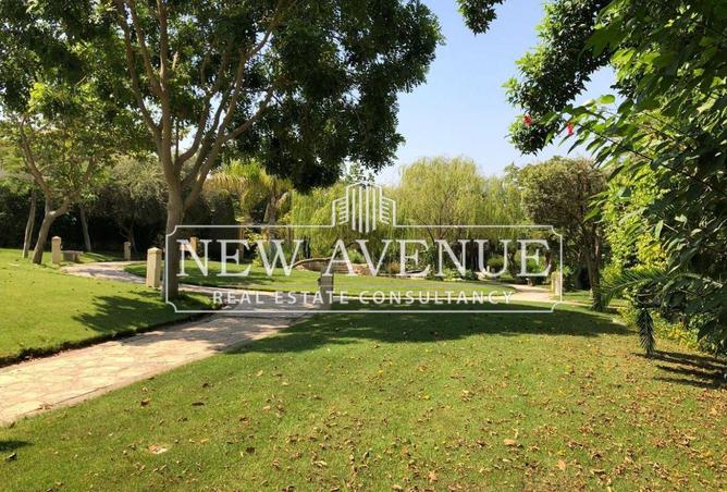 8242518 - Property Image 3