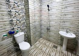 Apartment - 1 bedroom - 1 bathroom for للايجار in Memphis St. - Ibrahimia - Hay Wasat - Alexandria