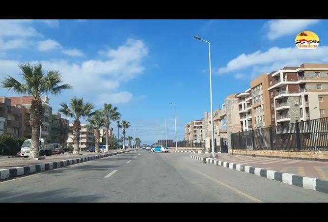 8481777 - Property Image 3