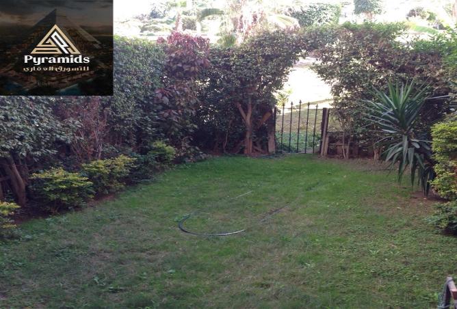 8390461 - Property Image 2