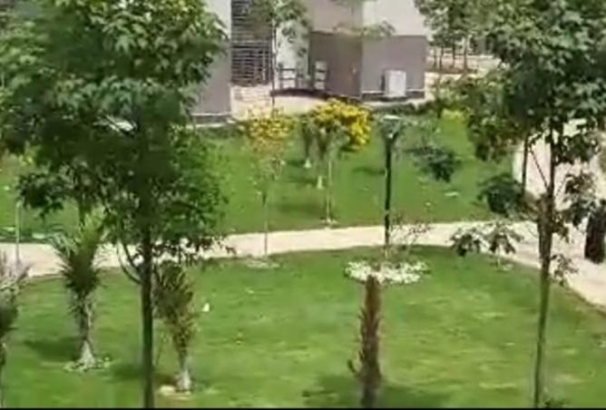 8059162 - صورة العقار 2