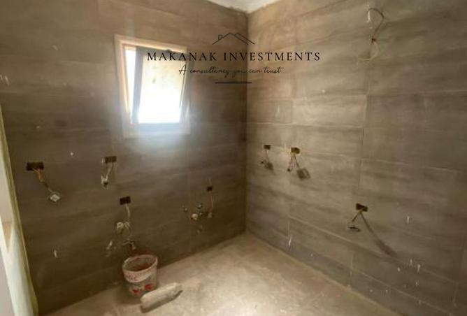 8396918 - Property Image 3