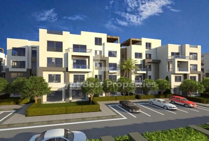 8428490 - Property Image 3