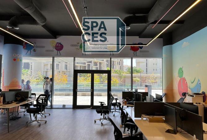 8191538 - Property Image 3