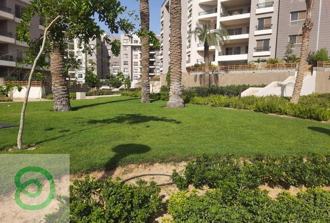 8178544 - صورة العقار 2