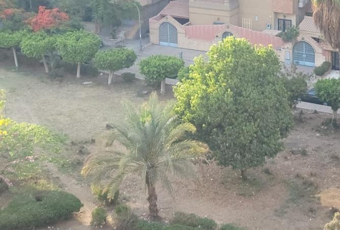 8082535 - صورة العقار 2