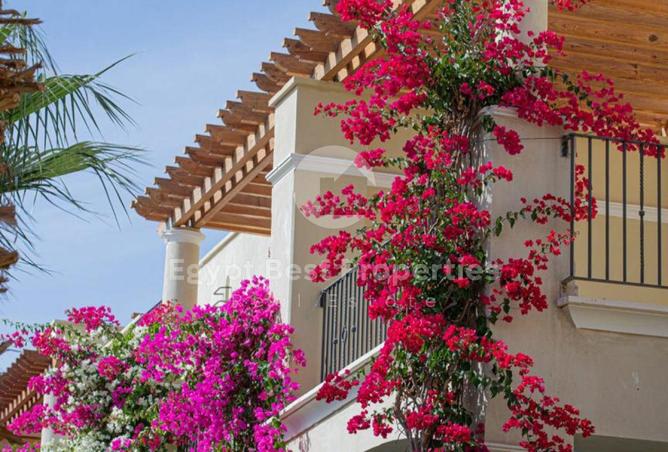 8173172 - صورة العقار 3