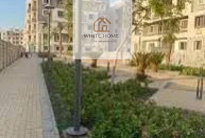 8381218 - Property Image 2