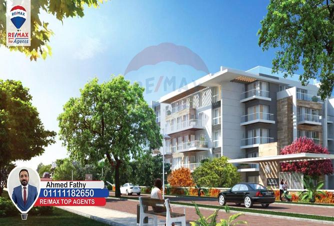 5175781 - Property Image 3