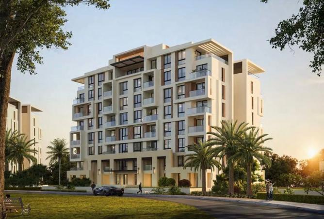 8247784 - Property Image 3