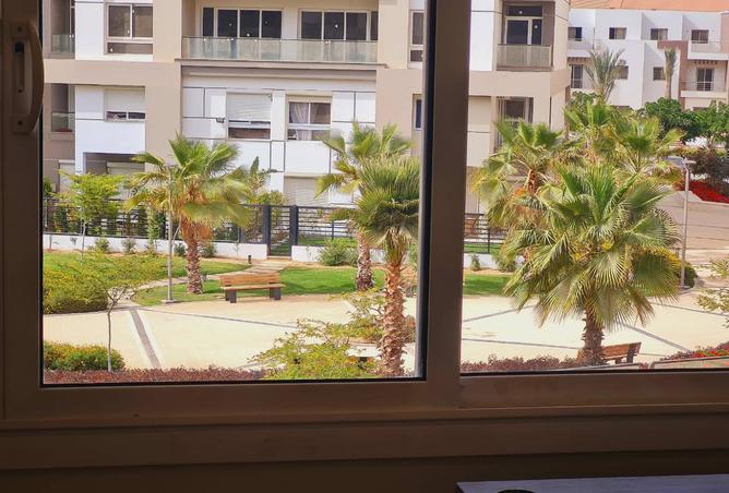 8061030 - صورة العقار 3