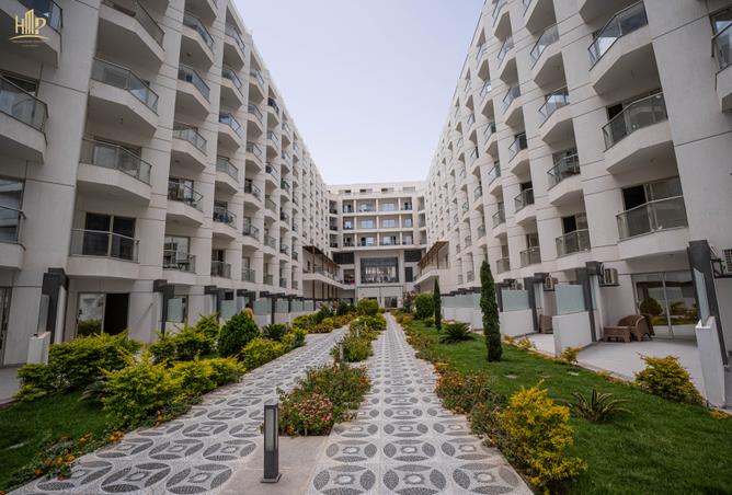 7988854 - صورة العقار 2