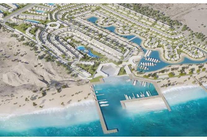 8176936 - صورة العقار 2