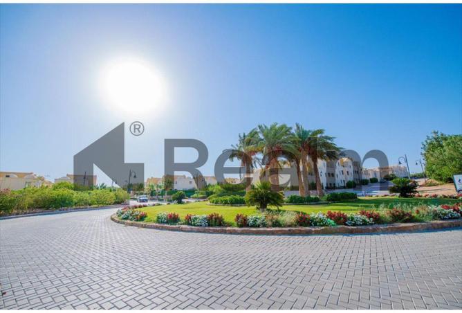 8354967 - صورة العقار 3