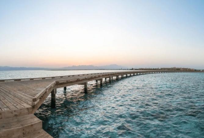 7943777 - صورة العقار 3