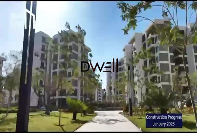 7810230 - Property Image 3