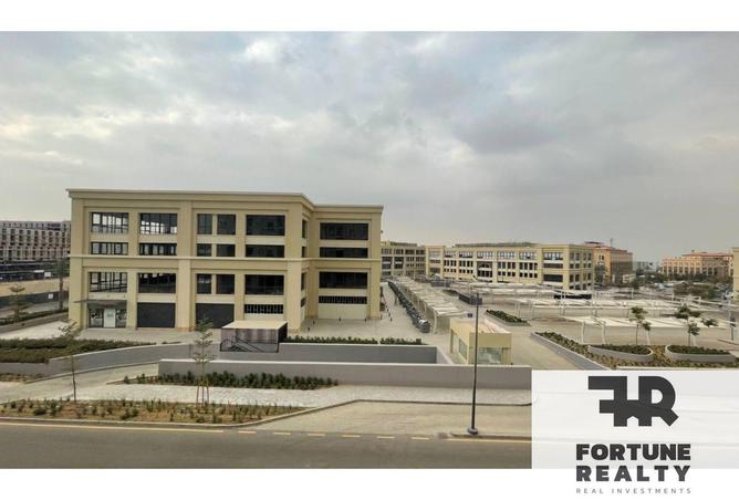 8374715 - Property Image 3