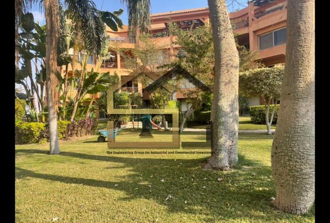 8244393 - Property Image 2