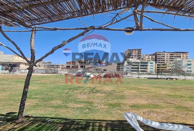 8250800 - Property Image 3