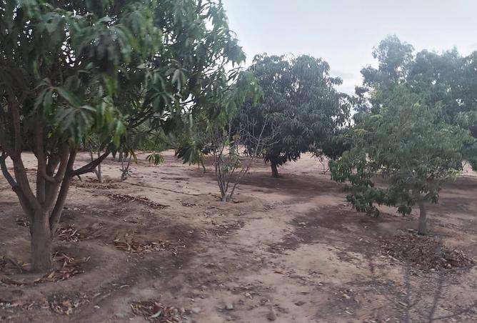 7999036 - Property Image 2
