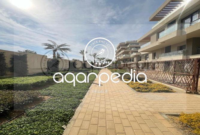 7369772 - Property Main Image