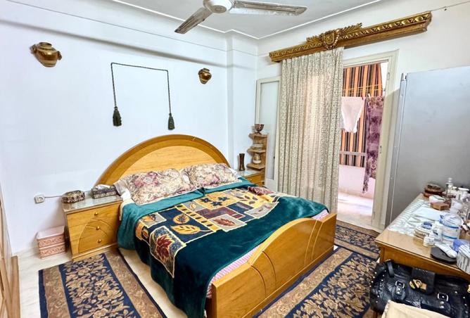 8296669 - Property Image 3