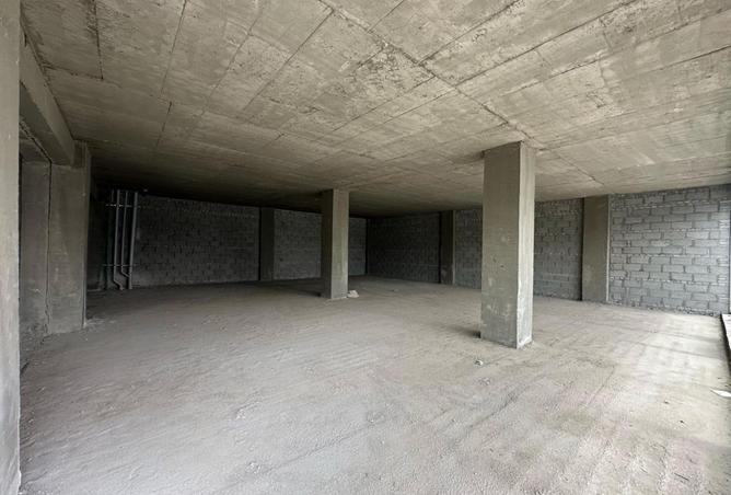 8206991 - Property Image 3