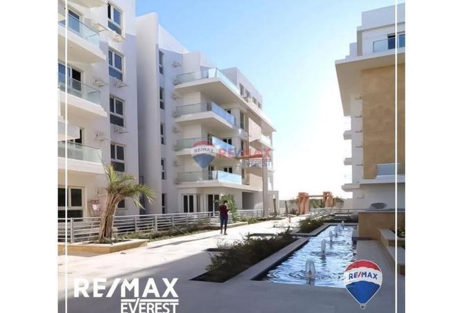 8319186 - صورة العقار 3