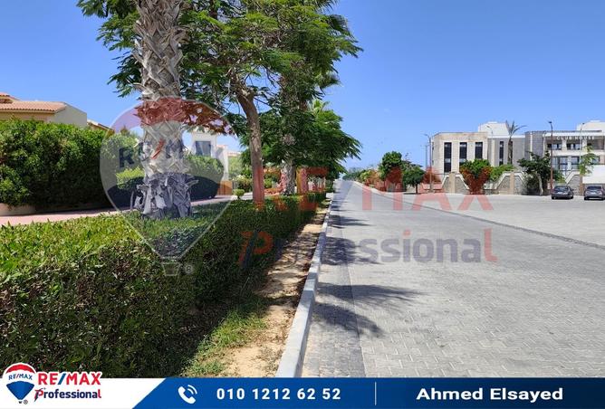 8005625 - صورة العقار 2