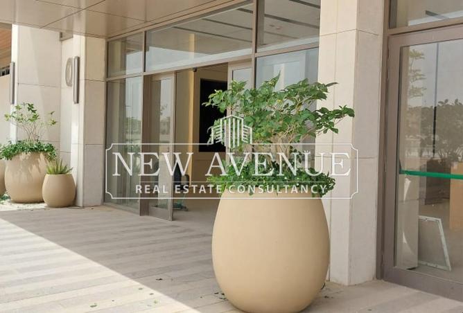 8239251 - Property Image 2