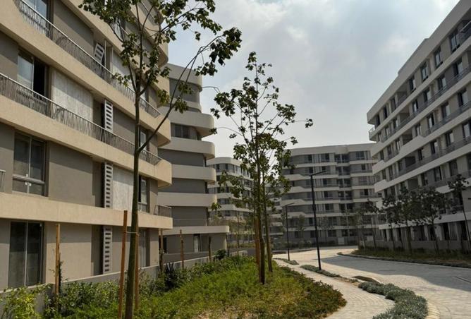 8541787 - Property Image 2