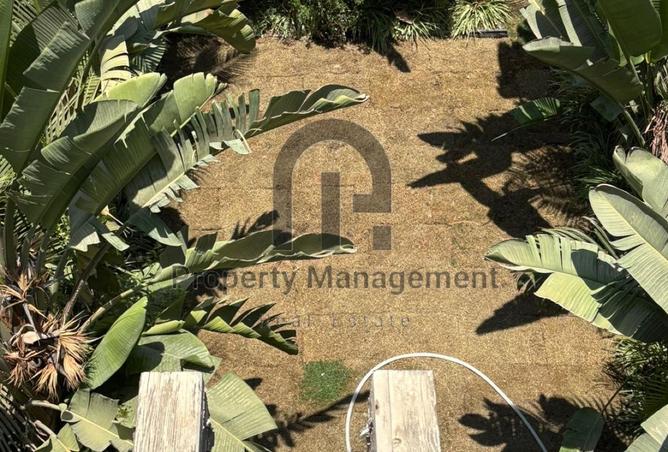 8464740 - صورة العقار 3