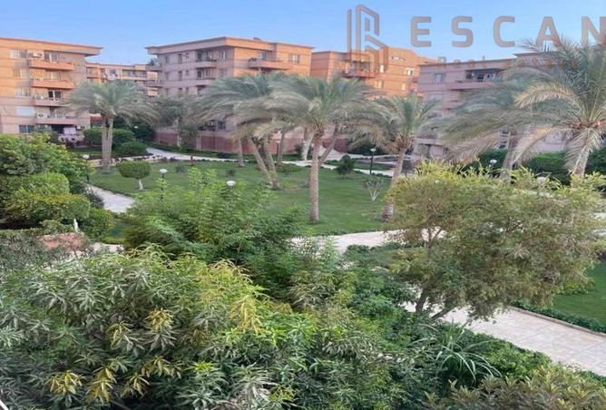 8213246 - صورة العقار 3