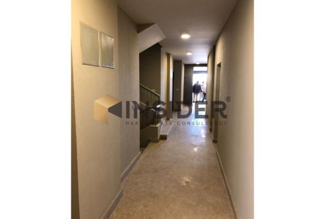 8482488 - صورة العقار 3