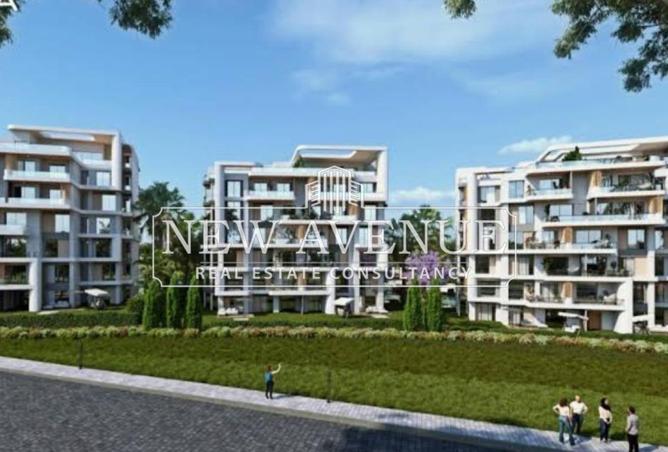 8398543 - Property Image 3