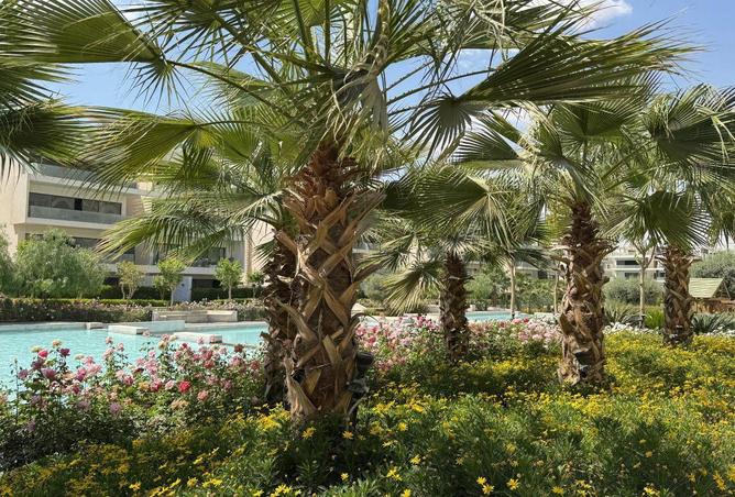 7635577 - صورة العقار 3