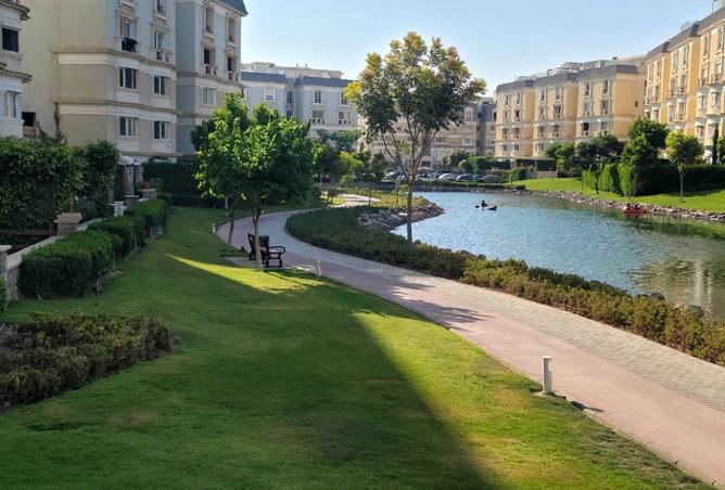 8157126 - صورة العقار 3