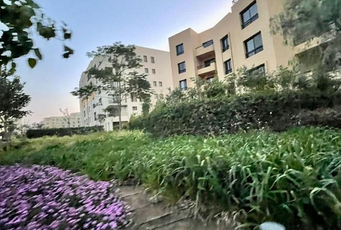 8544646 - صورة العقار 3