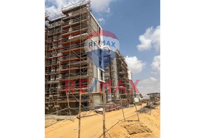 8436588 - Property Image 3