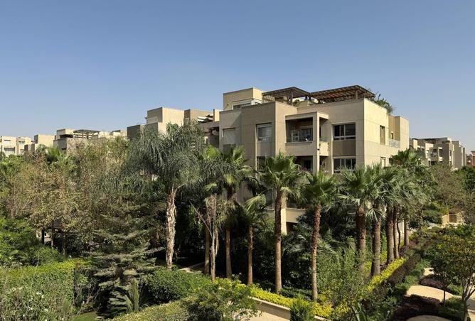 8547104 - Property Image 3